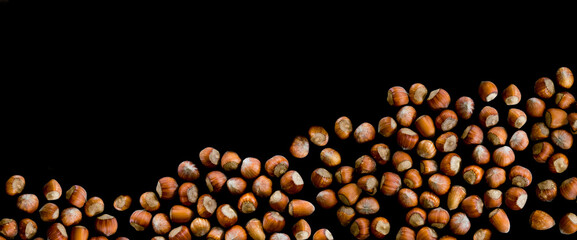 scattered brown hazelnuts in shell on black background