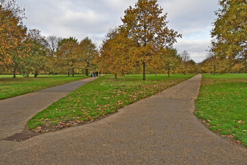 Londra, Autunno e foliage ad Hide Park - Regno Unito