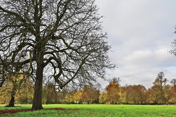 Londra, Autunno e foliage ad Hide Park - Regno Unito