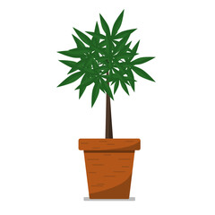  a tree with carved leaves in an orange clay pot