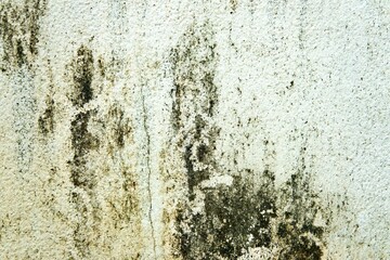 The wall is covered in dirt and grime, giving it a dirty and unkempt appearance. The white wall is marred by the dirt, making it look old and worn. The dirt is so thick that it covers the entire wall