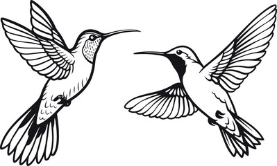 Obraz premium Humming Bird Silhouette vector 
