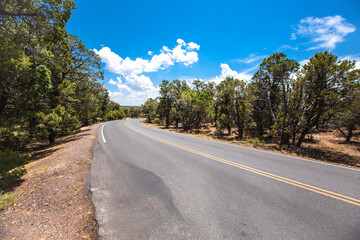 Road to Grand Canyon South Rim , USA
