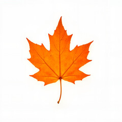 Fototapeta premium orange maple leaf close-up on white background top view, Al Generation 