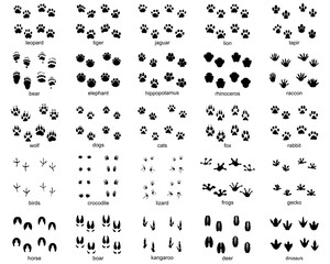 Set of  traces of wild animals, illustration of black silhouettes	