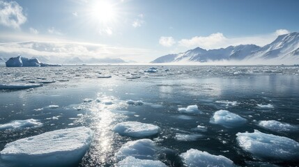 Fototapeta premium Climate change vulnerable regions, areas at risk from environmental shifts