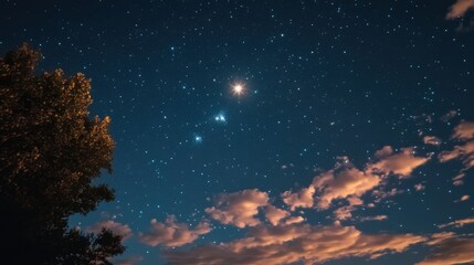 Naklejka premium Night Sky Starry Cloudscape Tree Silhouette