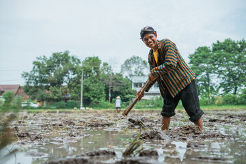 A dedicated farmer is diligently plowing a rice field while working under a cloudy sky