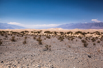 Sand dunes in Death Valley National Park , Nevada , USA