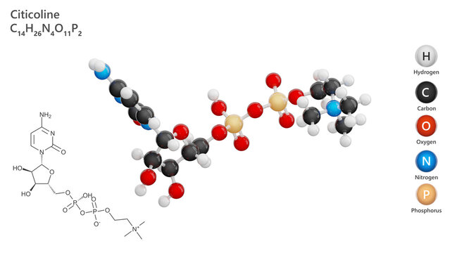 Molecule: Citicoline or CDP-choline. Molecular structure. Formula: C14H26N4O11P2. Chemical model: Ball and stick. White background. 3D illustration.