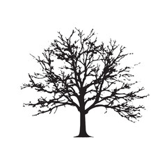 Obraz premium Majestic Beech Tree Silhouette on Clean White Backdrop