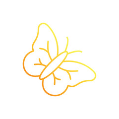 Butterfly vector icon