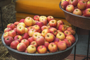 rustic bowl filled with fresh red yellow apples on display outdoors, surrounded by lush green leaves. depiction of organic produce and a healthy lifestyle. harvest demonstration holiday festival