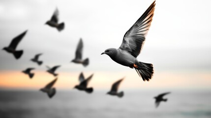 Obraz premium A Majestic Flock of Birds in Flight Against a Serene Coastal Sunset, Highlighting the Beauty of Nature and Wildlife in Motion