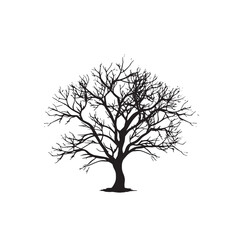 Simplistic Beech Tree Silhouette Isolated on White