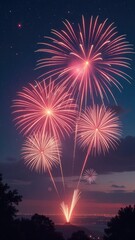 Colorful fireworks display illuminating the night sky over a scenic horizon