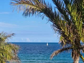 Blick durch die Palmen auf das klare, blaue Meer mit einem wolkenlosen Horizont und einem kleinen...