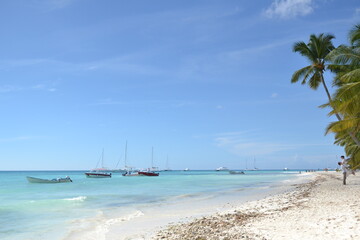 Dominican Republic, sunset in the ocean, palm trees, sunrise in the ocean