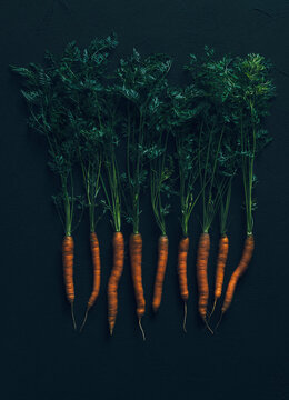 carrots