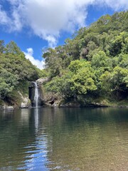 Bassin grondin de l'île de la réunion
