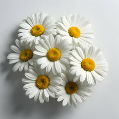 Fototapeta premium Delicate White Daisies in Natural Arrangement Home Decor Inspiration Floral Composition Minimalist Setting Close-up View Nature's Beauty for Relaxation