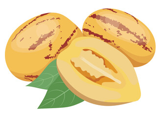 Pepino Melon Fruits with Sliced Illustration Isolated on White Background