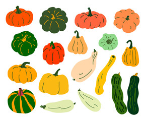 Set of pumpkins and zucchini isolated on white background. Vector vegetables. Simple illustration