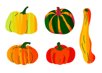 Set of colored vegetables. Vector illustration of pumpkins