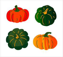 Collection of their big pumpkins. Vector illustration