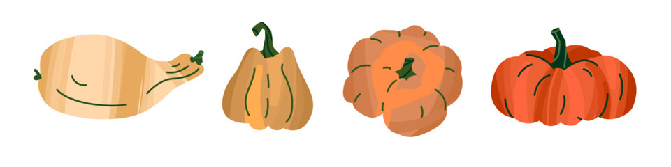 Collection of vector pumpkins. Illustration