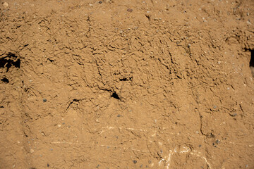 A wall with a lot of holes in it. The holes are small and scattered all over the wall