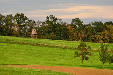 Agrarlandschaft mit Ansitz für die Jagd am Waldrand