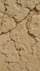 Fototapeta premium Close-up shot of a rough, natural stone surface with intricate textures, rough