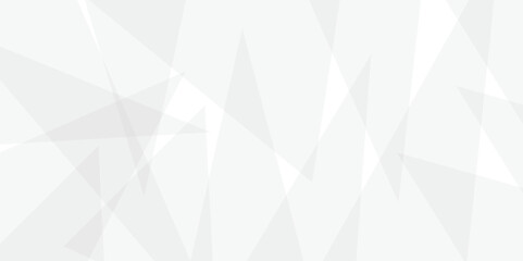 Abstract white and gray line background design. abstract white and grey on light silver background modern design. Low poly vector illustration. triangle pattern gradient background.	
