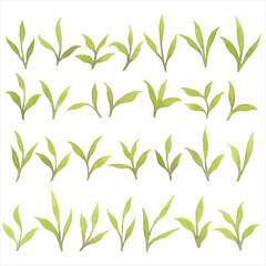 Big set of colorful abstract leaves, watercolor isolated illustration, vegetable print for greeting and invitation cards.