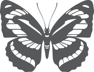 Striped wings butterfly black silhouette. Beautiful stripe pattern