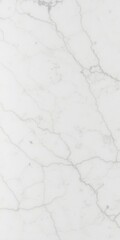 Beautiful white marble texture with intricate grey veins, natural