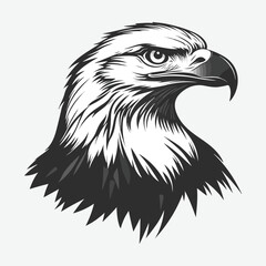 Eagle Bird Vector Illustration