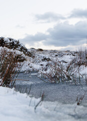 winter in the mountains