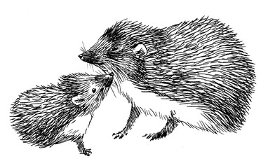 Hand drawn Vintage engraving isolated Hedgehog illustration ink sketch. Wild animal background