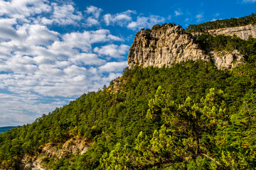 Cliffs covered with forest against the sky on a summer day.