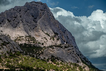 Fototapeta premium Cliffs covered with forest against the sky on a summer day.