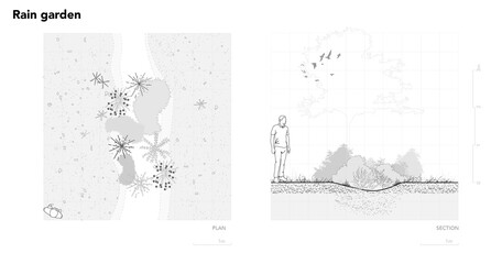 Architectural Drawings, Minimal style cad tree line drawing, Side view, plan and section forest outline symbol for landscape design drawing. PNG illustration in stroke fill in white. © feipco