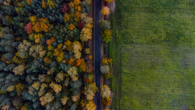 A road beetwen a field and a forest in autumn aura