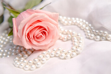 The branch of pink rose on white fabric background
