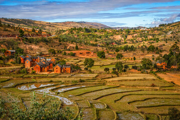 Rizières dans les hautes-terres de Madagascar