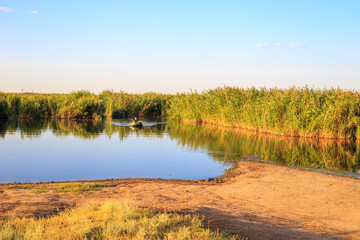 Summer sunny landscape. Fisherman in a boat sails on the Blue Lake with reeds