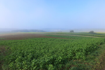 Blick über das Heckengäu bei Weil der Stadt