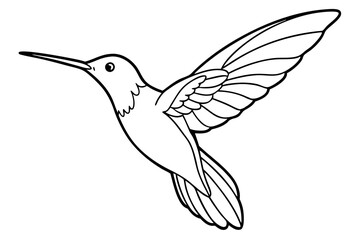 hummingbird hovering tiny body fast wings line art vector silhouette on a white background