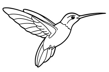 hummingbird hovering tiny body fast wings line art vector silhouette on a white background